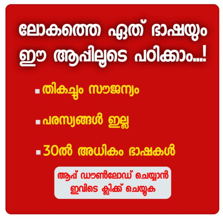 World wide language learning mobile application