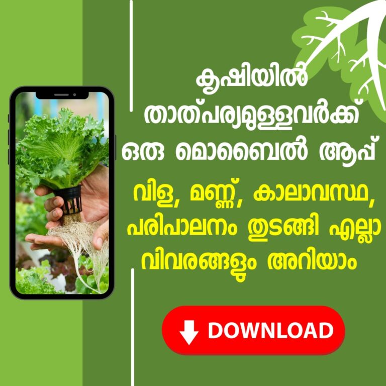 Gardenize: A Comprehensive Gardening App for Everyone (Free)